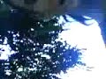 garrido ligando