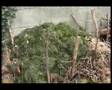Garden on Seoige & O'Shea