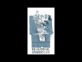 Young Rae ft. Skyzoo - The Beautiful Decay