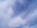 Click here to watch this video Power High