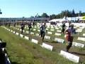 O-Ringen 2008 - Zieleinlauf