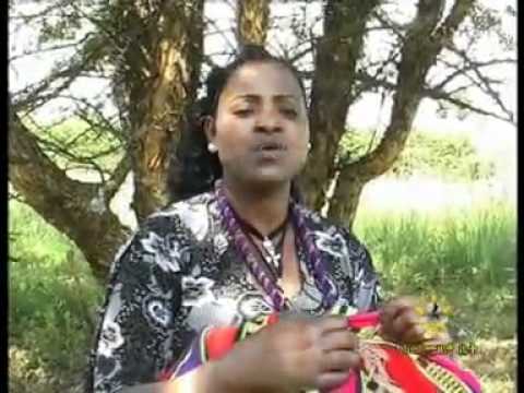 Wollo Music - http://www.gondertubes.webs.com/ For all The Lastest Somalian Music, News Posts, and Forums!