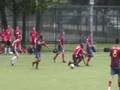 goles de lakeview