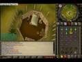 [RS] Puwre's Jungle Potion Quest Walkthrough