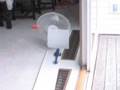 The Rube Goldberg Rocket Launcher