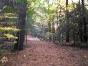 Nature Walk (15th Oct. 2008) 3