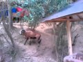 http://www.facebook.com/l.php?u=http%3A%2F ...