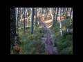 Fochabers Ring Bike Trail