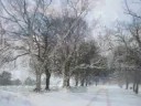 Snow Thaws to Water