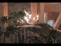 Outdoor Life Dream Cabin Walkthrough: Up Stairs