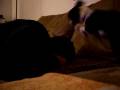 videos de More kisses with my face covered.