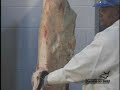 Beef Carcass Break Down 1 - butcher Beef Carcass Break Down 1 - butcher