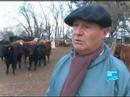 La gr�ve des producteurs argentins continue