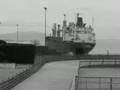 Nave mercantile "Yasmina Kingstown" - Salerno