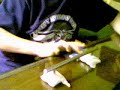 just some throw away footage
