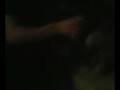 videos de Tampon Beer