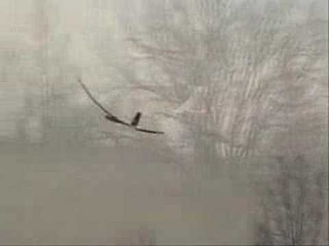 Watch RC Video: 'RC electric powered sailplane crash'