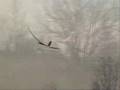 RC electric powered sailplane crash View Video