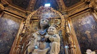 Palma celebra la festivitat de la Mare de Déu de la Salut