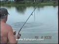 Extreme Predator fishing at IT Lake Monsters in Thailand.