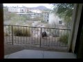 video-2009-12-05-17-04-04