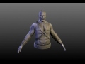 Pirate WIP Pirate WIP