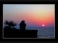ro7 alby (lollo)
