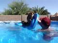 swimming cats