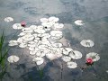 TIC_Menden stellt vor: Angelverein Greven Angelsee Entspannung Urlaub