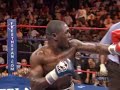 Berto knocks out Estrada