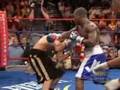 Berto knocks out Estrada