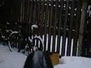 GUN CAM GUN CAM