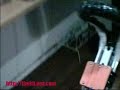 How flyjumper jumping stilts are out of the box How flyjumper jumping stilts are out of the box