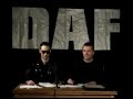 Daf - Live 1980-1981