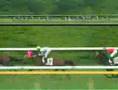 2005 日本ダービー
