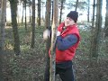 Taiji Forest - elbow tehnics - Tallinn, Estonia