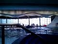 DOLPHIN Traninig