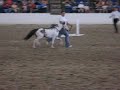 Breyerfest Jumping Miniatures