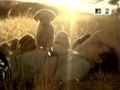 island in the sun - Weezer