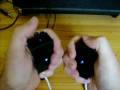 videos de SwoofTronic SB 7