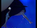 Talking Dolphin