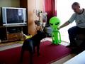 Waffi és az UFO