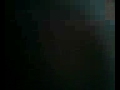 Cassandra\