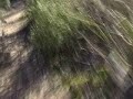 Julius Klein and Marc Ferrer - Bike Ride at Crystal Cove