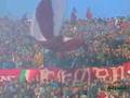 1988-89 • 13. Torino - Pisa 0-0