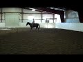 Topper Canter left.MP4