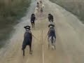 nogara sled deog team