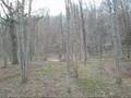 dubbing around track wolcott vermont