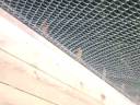 Capilan suspension