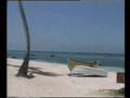 Saona island 1998 (Santo Domingo)